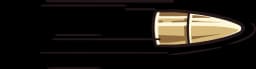 bullet