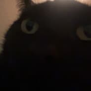 Wha***uss's avatar