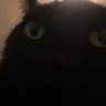 Wha***uss