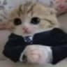 mou4ddd
