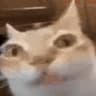 Yuyos